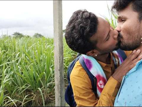 Indian forest outdoor jungle sugarcanel field kissing.