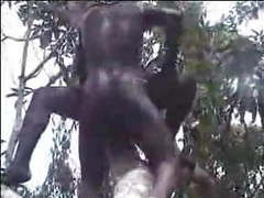 African amateur fuck on the tree